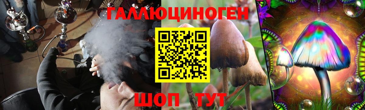 Кудрово  Псилоцибиновые грибы GOLDEN TEACHER  Вход с VPN 